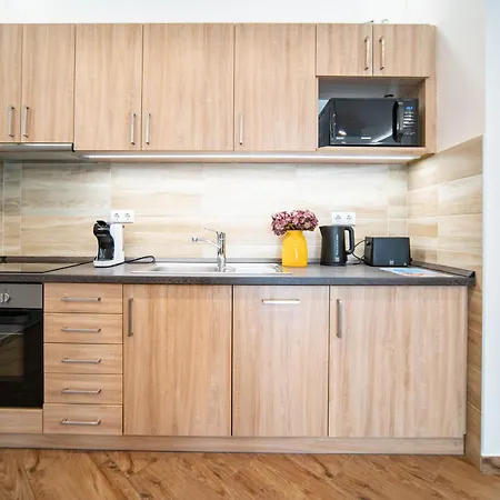 Free Parking Coco Elegant 4ppl Ac Apartament