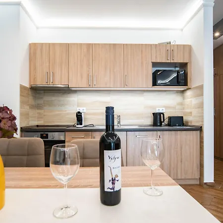 Free Parking Coco Elegant 4ppl Ac * Budapeşte